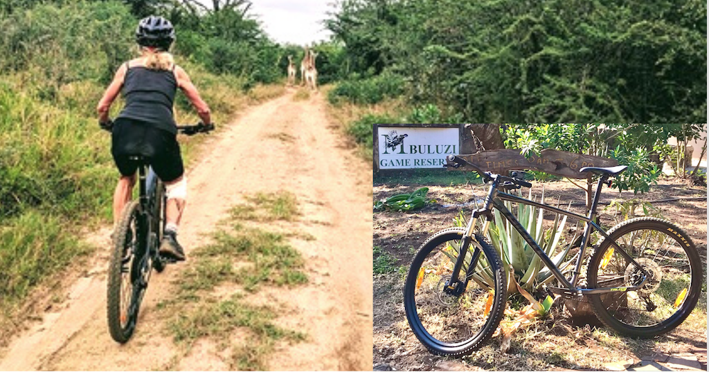 MTB_Homepage
